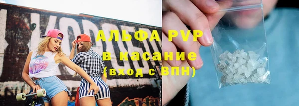 шишки Пестово