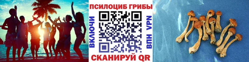 Галлюциногенные грибы прущие грибы  mega tor  Юрюзань 
